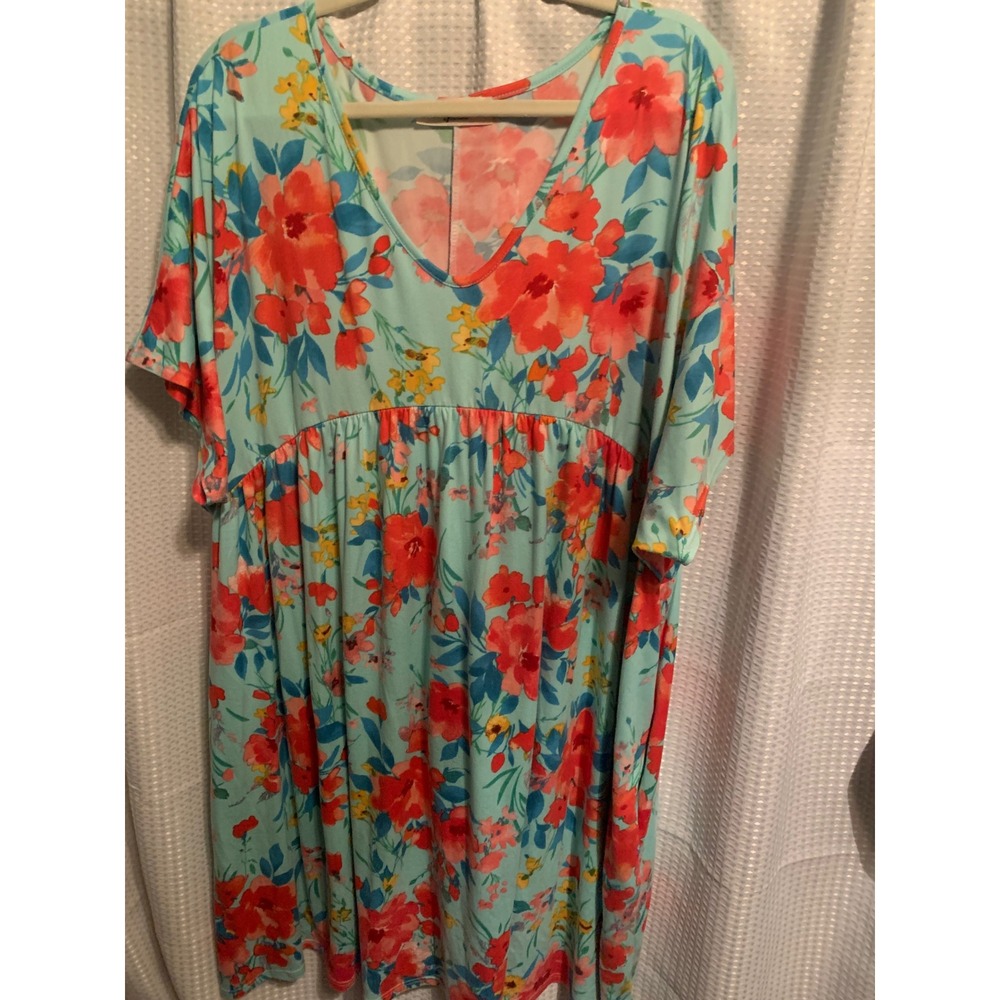 Haptics by Holly Harper Floral V-Neck Babydoll Dress Mint Blue Red 2X
